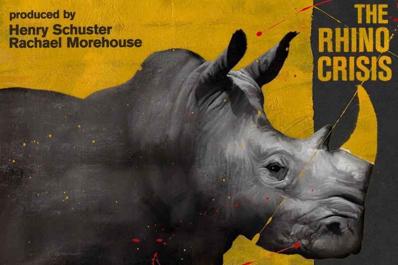 The Rhino Crisis